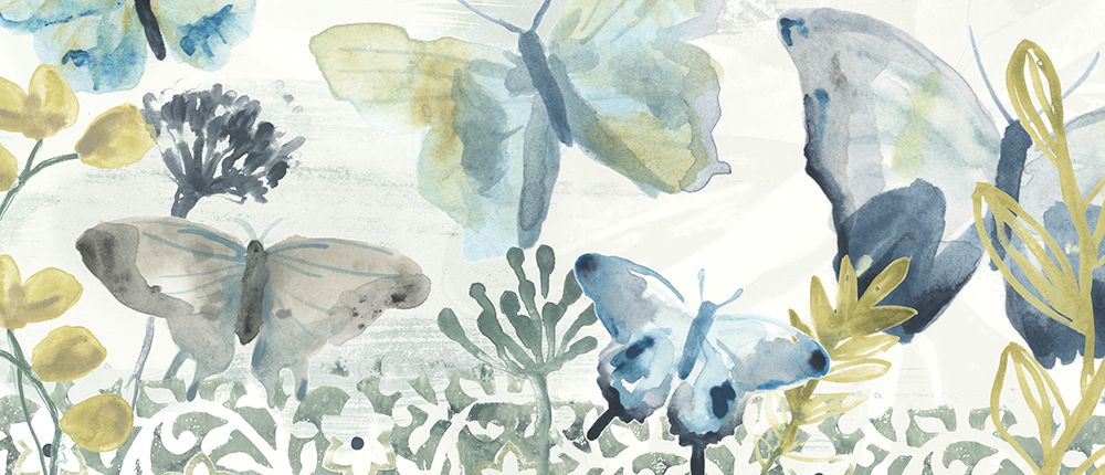 Butterfly Concerto Collection D