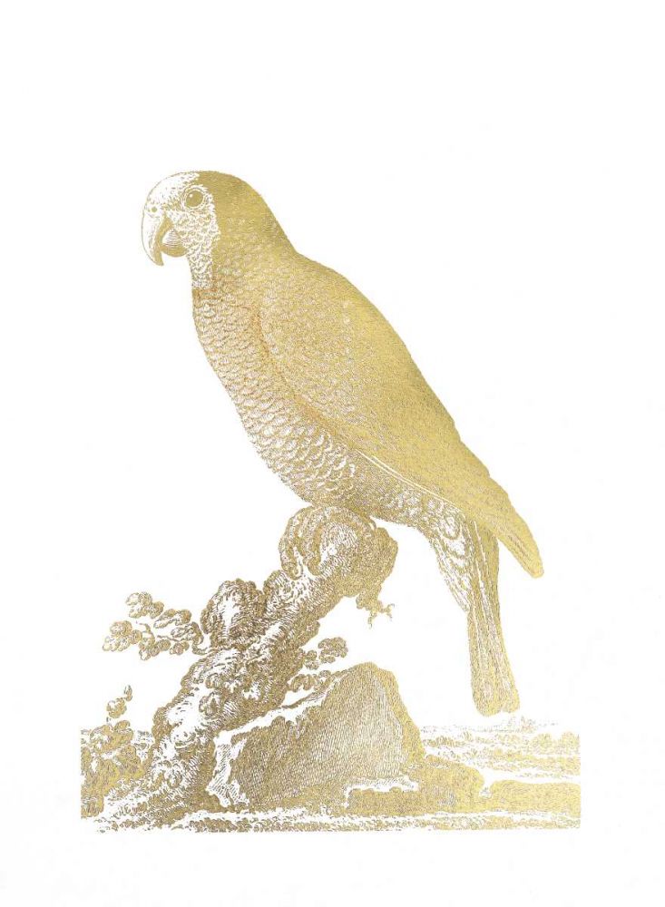 Gold Foil Parrot II