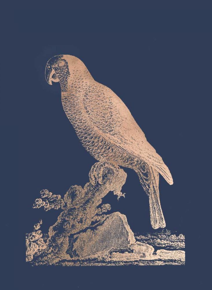 Rose Gold Foil Parrot II on Imperial Blue