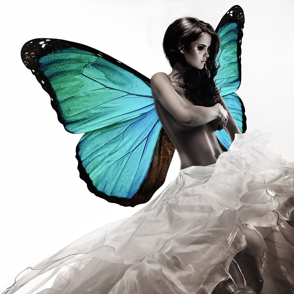 Winged Beauty -1