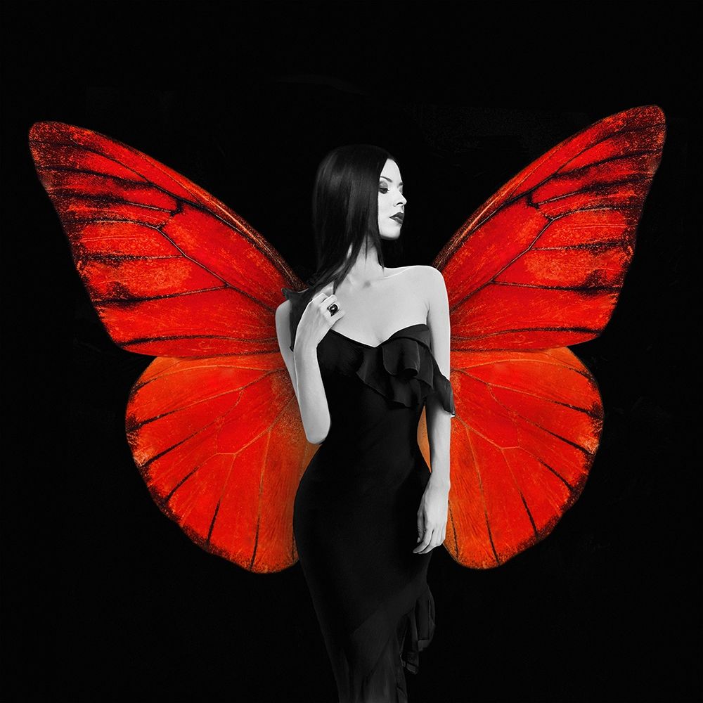 Winged Beauty -2