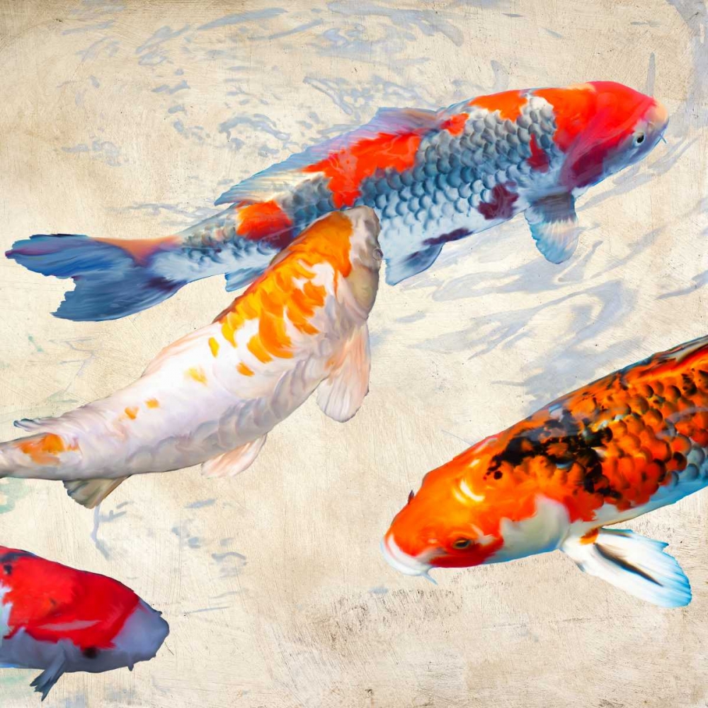 Koi II