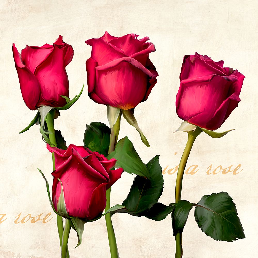 A Rose is a Rose (detail)