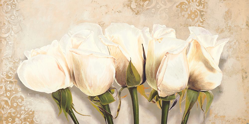 White Rose Buds