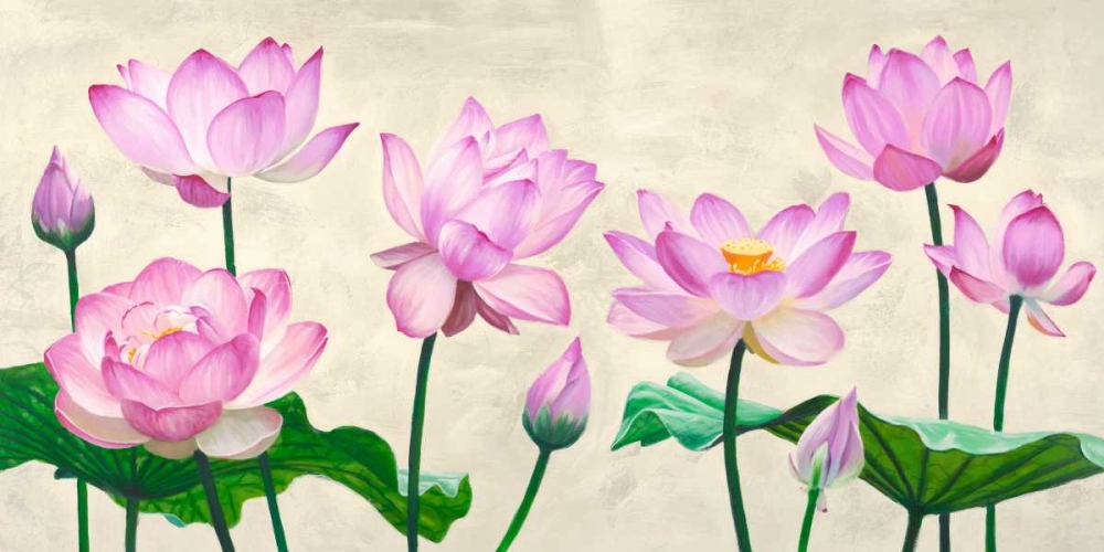 Lotus flowers
