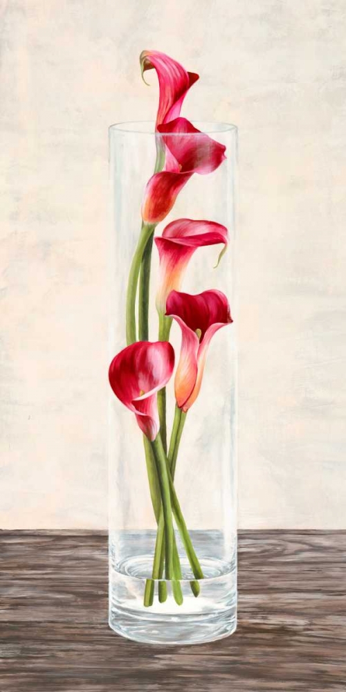 Arrangement of callas