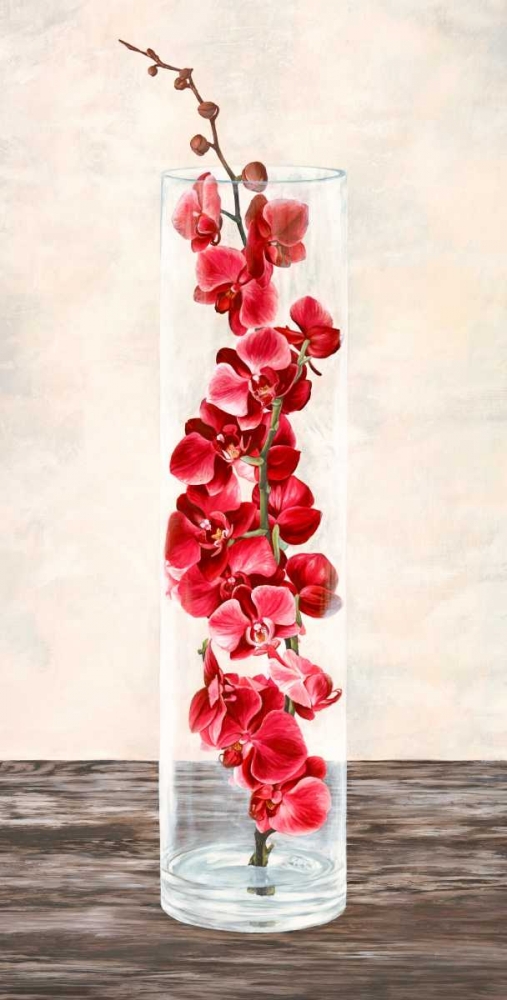 Arrangement of orchids