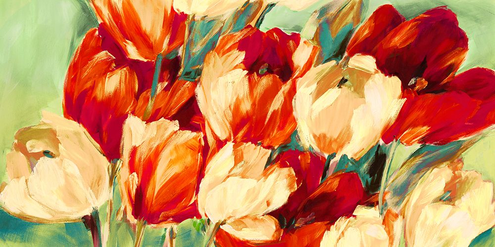 Red And White Tulips