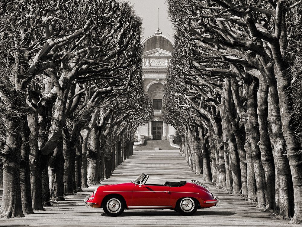 Roadster in tree lined road, Paris
