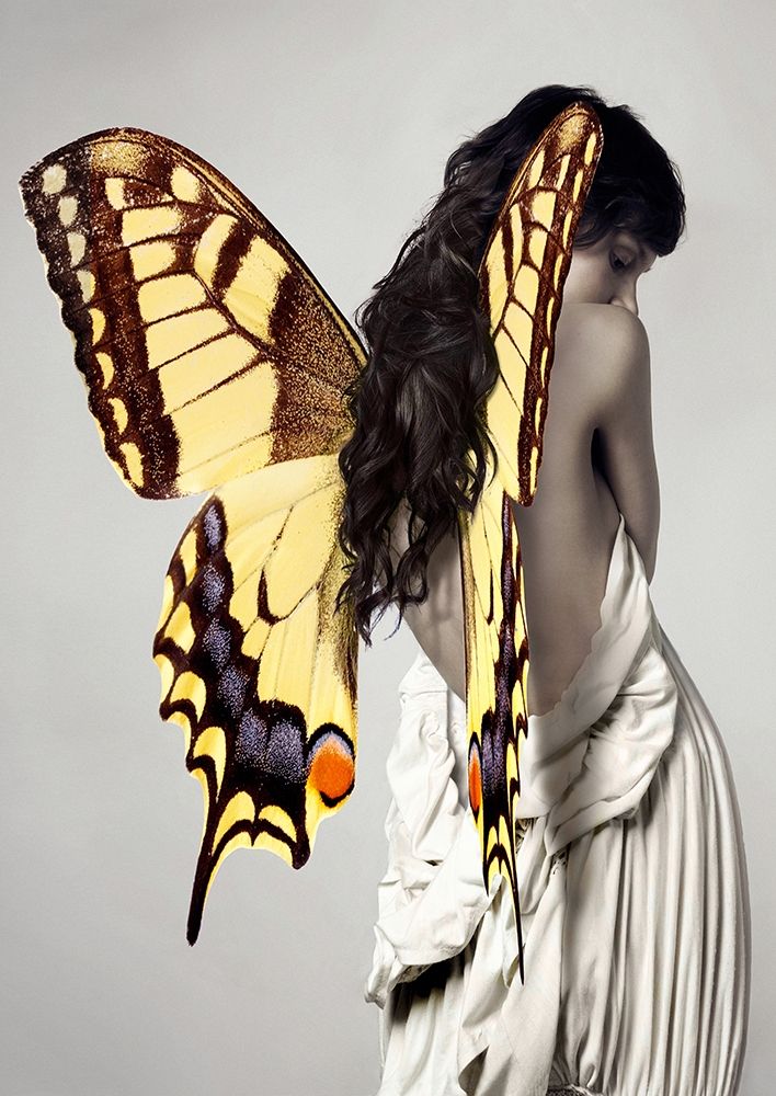 Winged Beauty -3