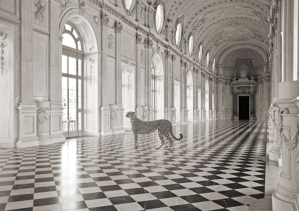 Luxurious Wilderness I