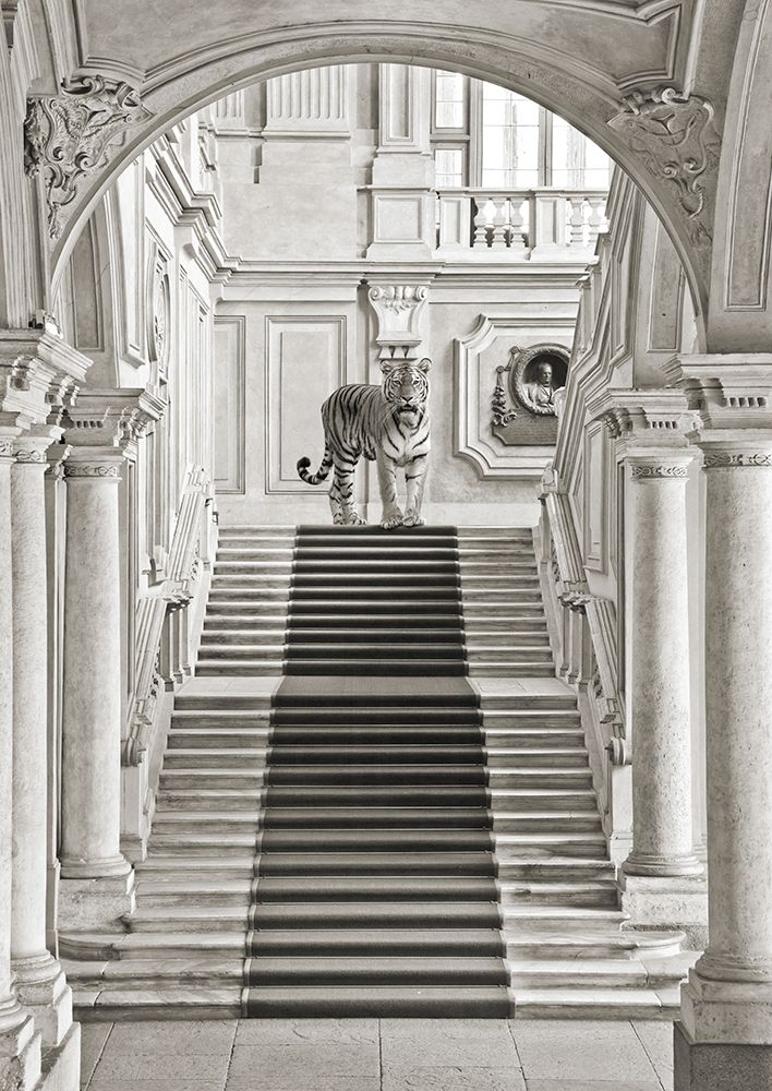 Luxurious Wilderness II