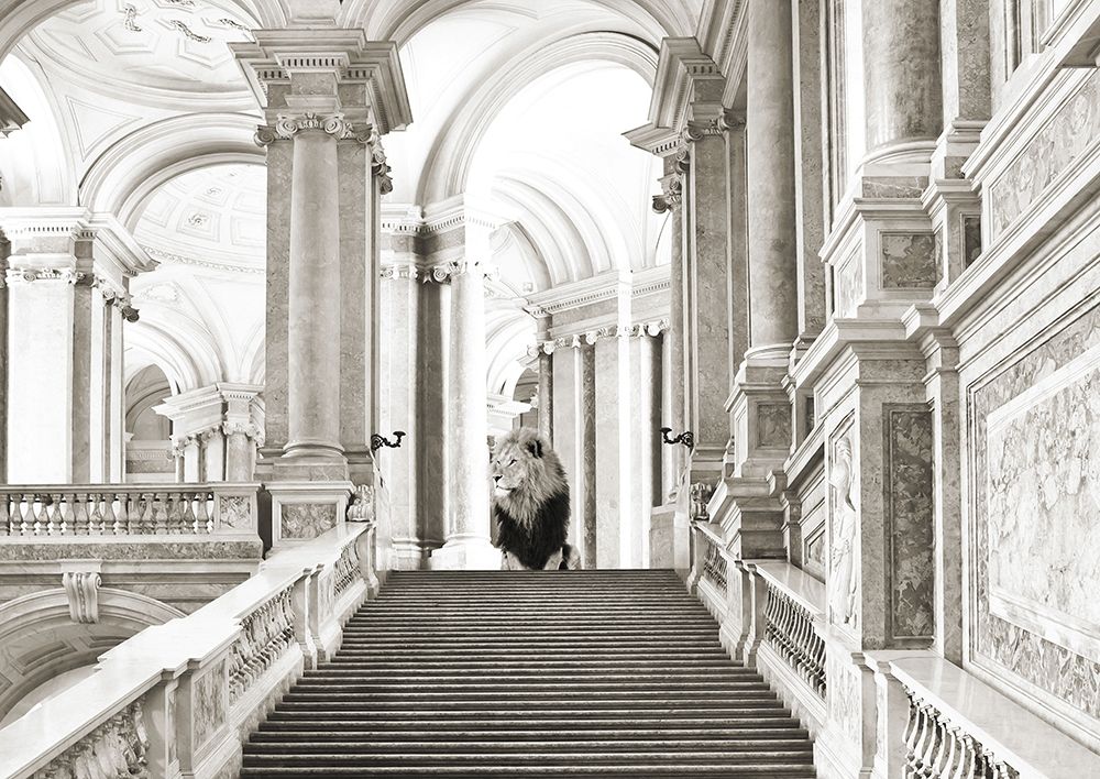 Luxurious Wilderness III