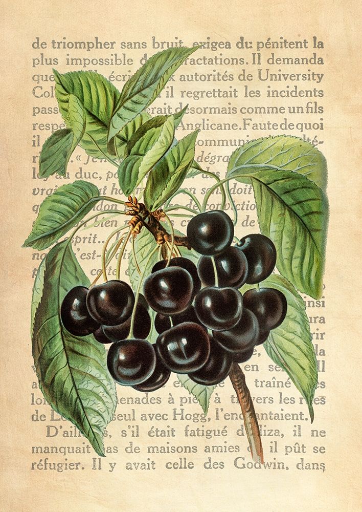 Cherries- After J. Wright