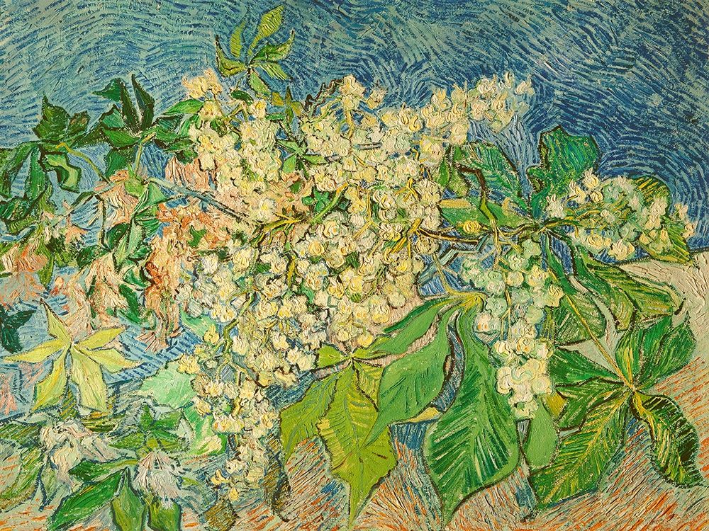 Blossoming Chestnut Branch