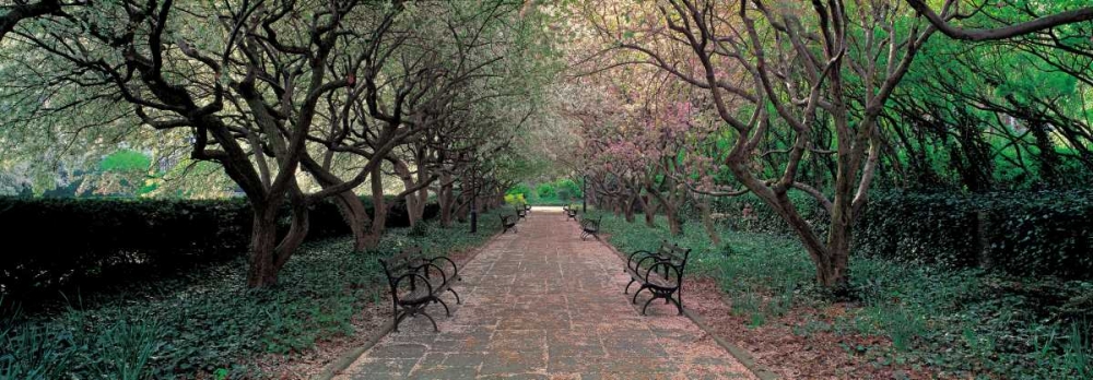 Through Conservatory Garden Central Park NYC