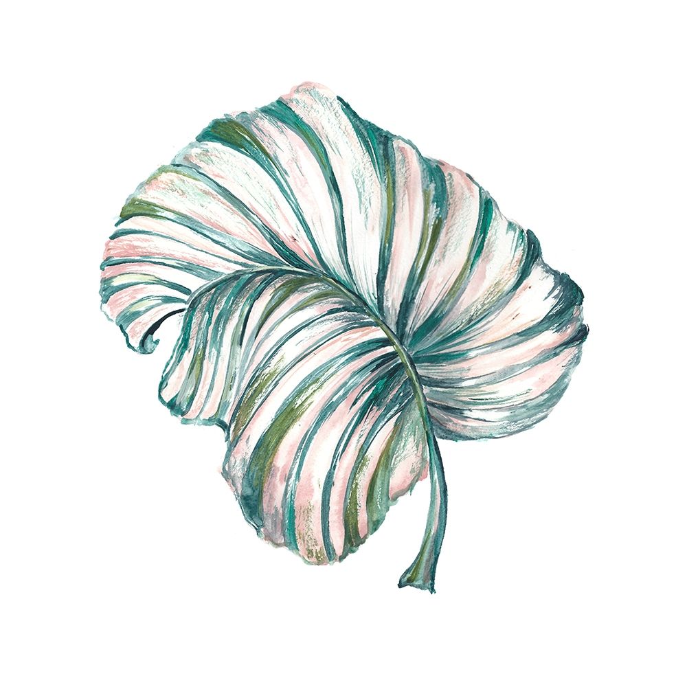 Island Leaf III