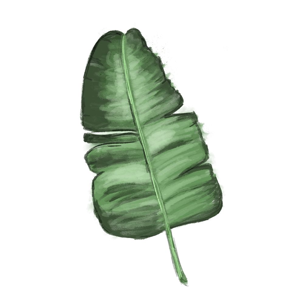 Leaves of the Tropics I