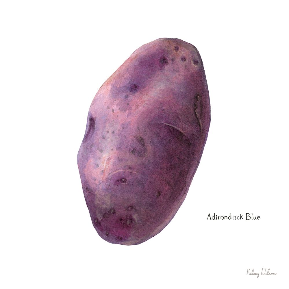 Organic Potatoes I