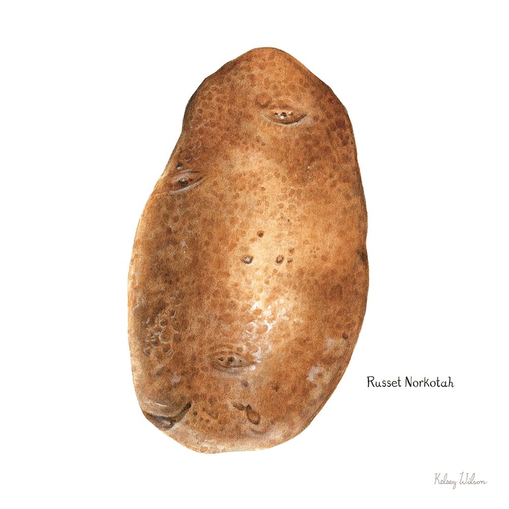 Organic Potatoes III