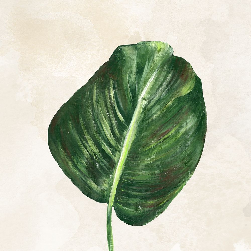 Tropical Leaves I