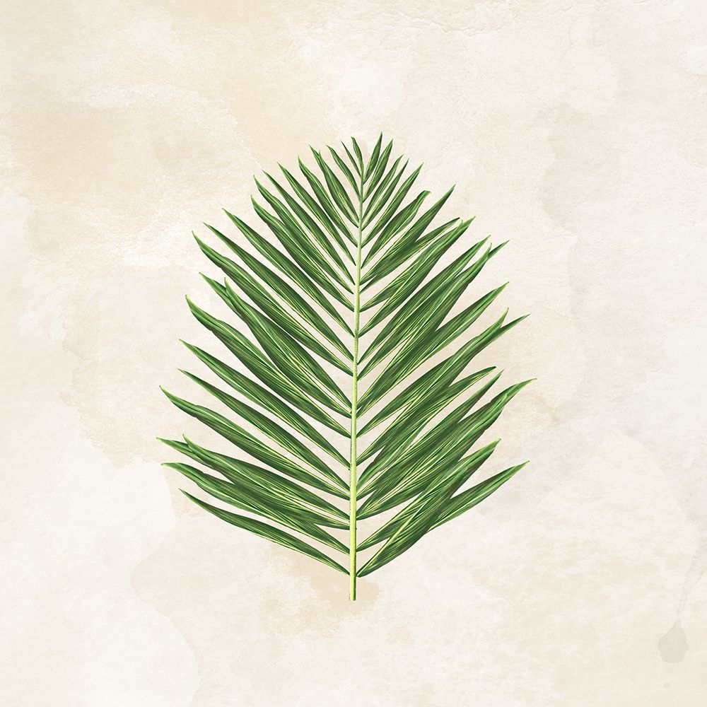Tropical Leaves II