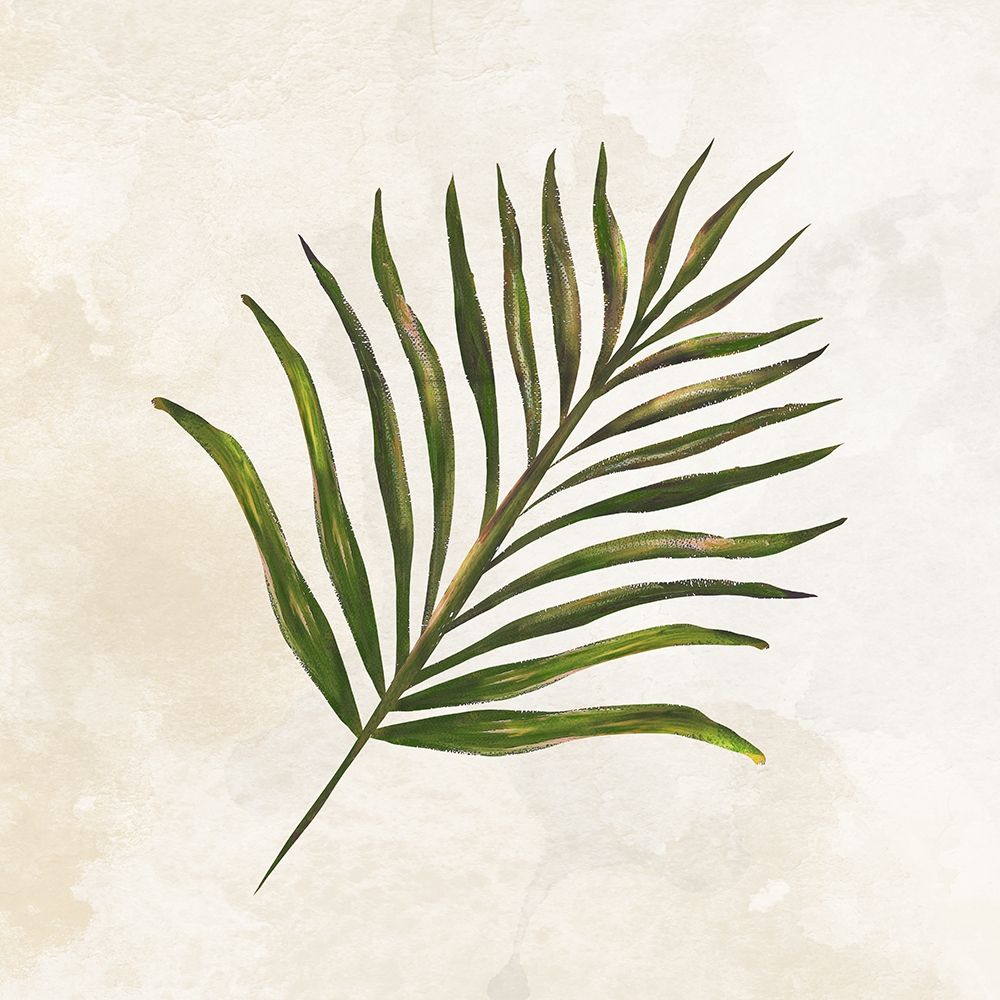 Tropical Leaves IV