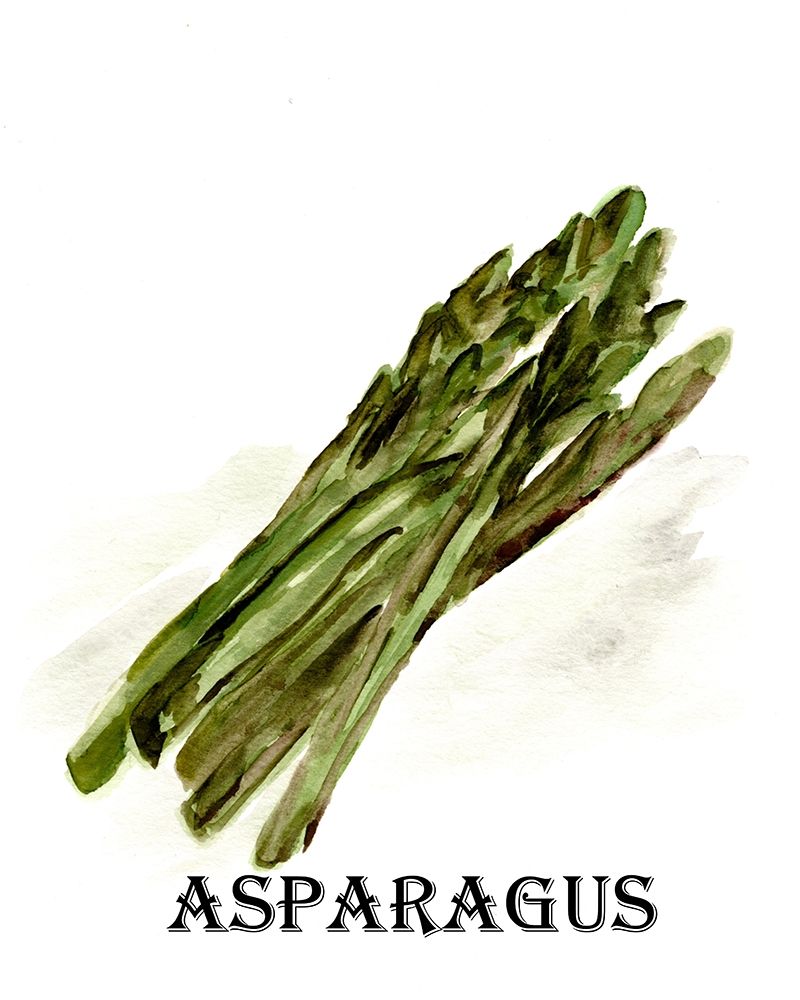 Veggie Sketch  I-Asparagus