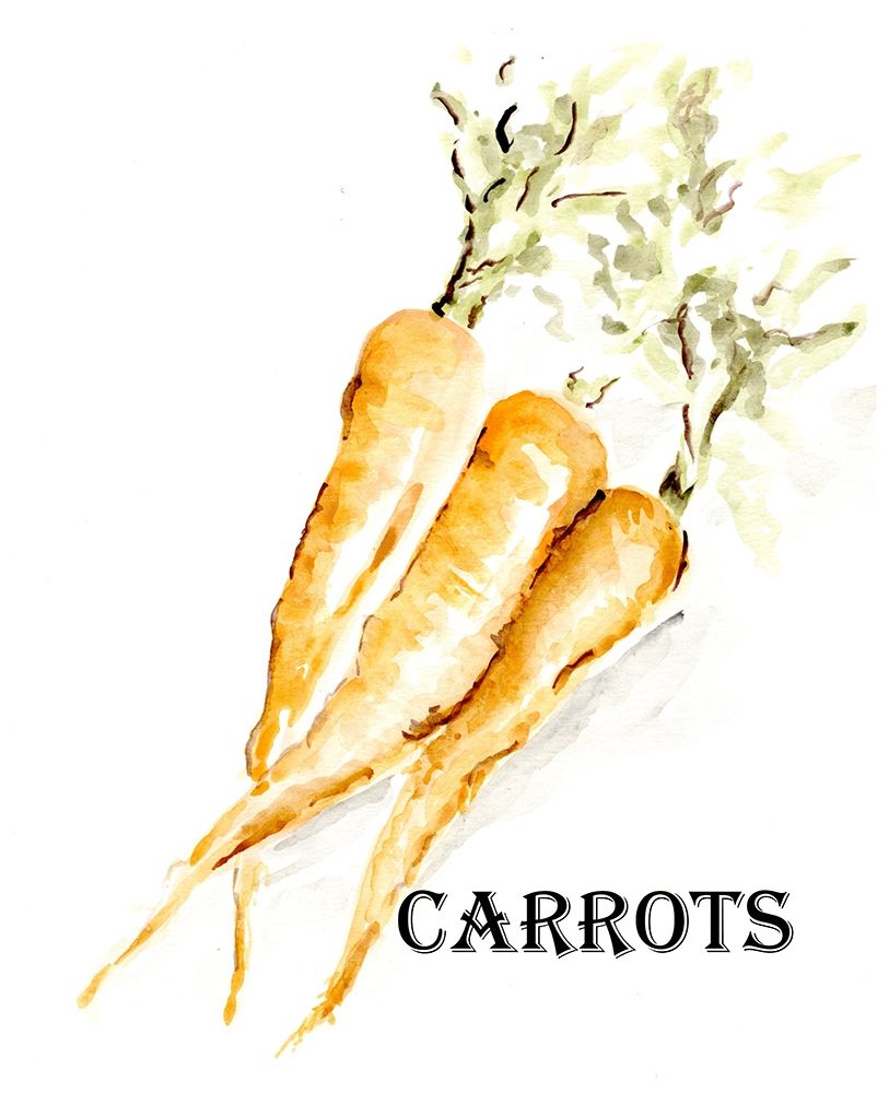 Veggie Sketch  V-Carrots