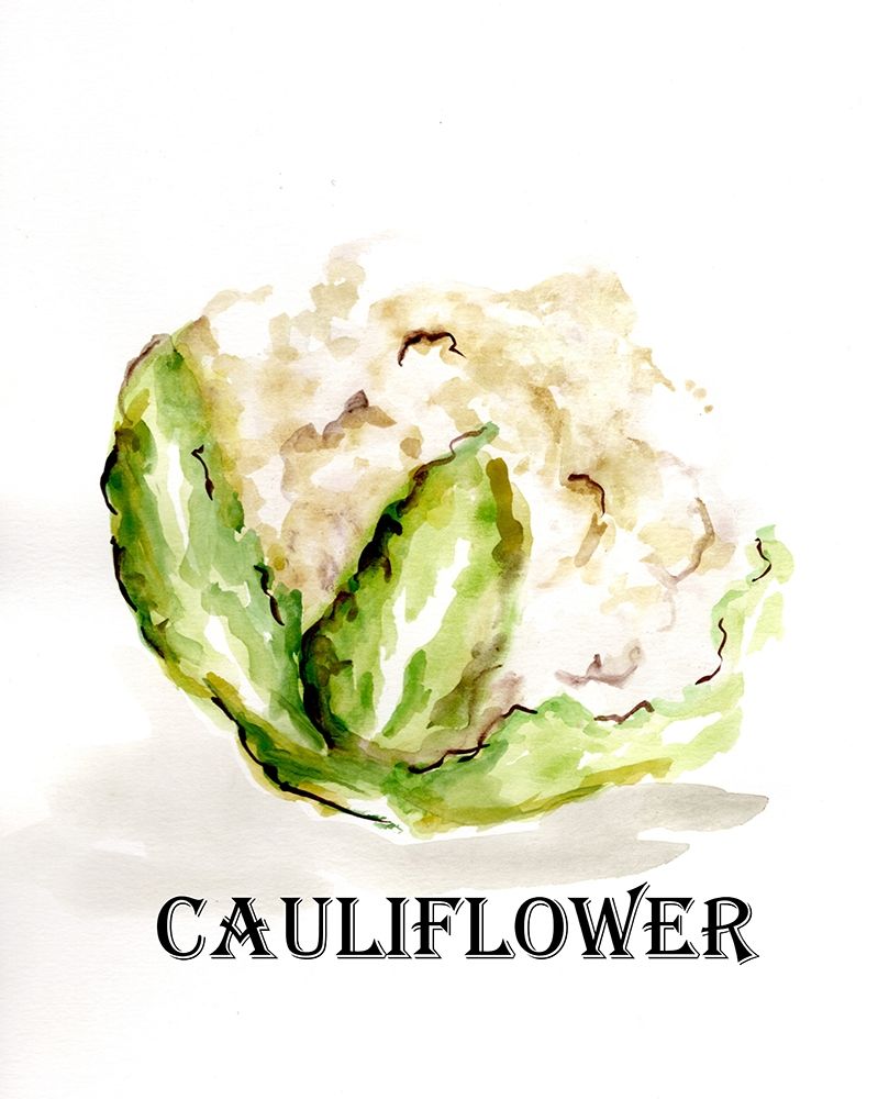 Veggie Sketch  VI-Cauliflower