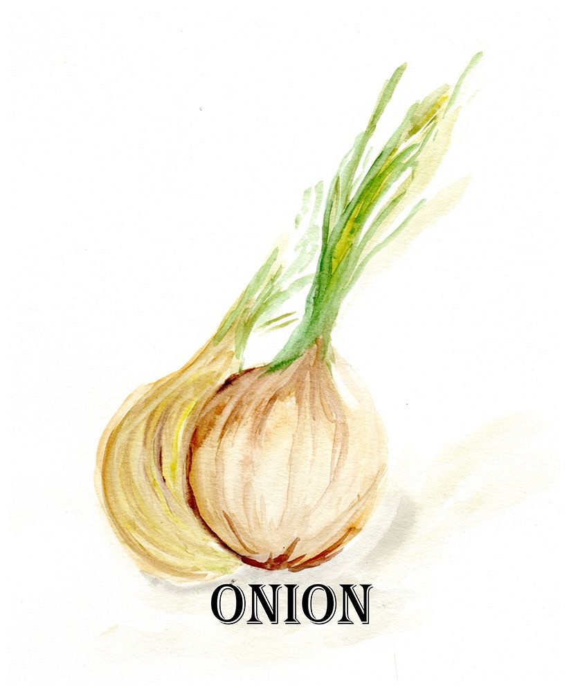 Veggie Sketch X-Onion