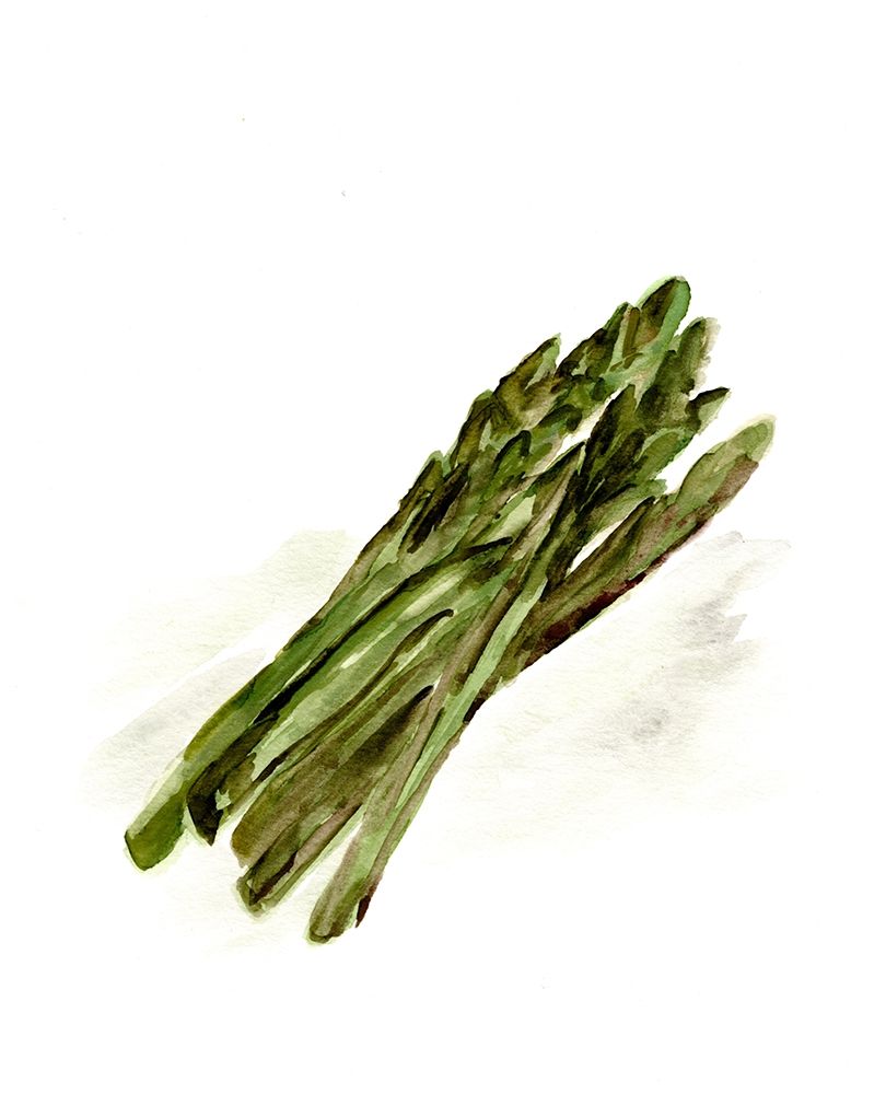 Veggie Sketch plain  I-Asparagus