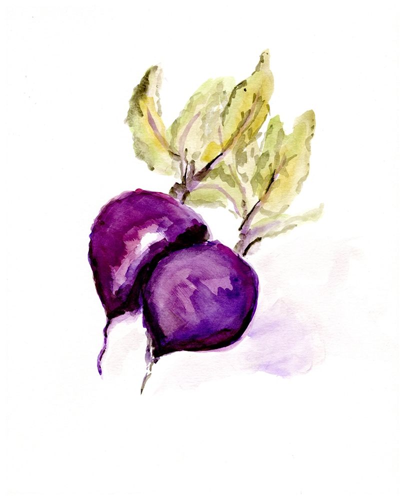 Veggie Sketch plain  III-Beets
