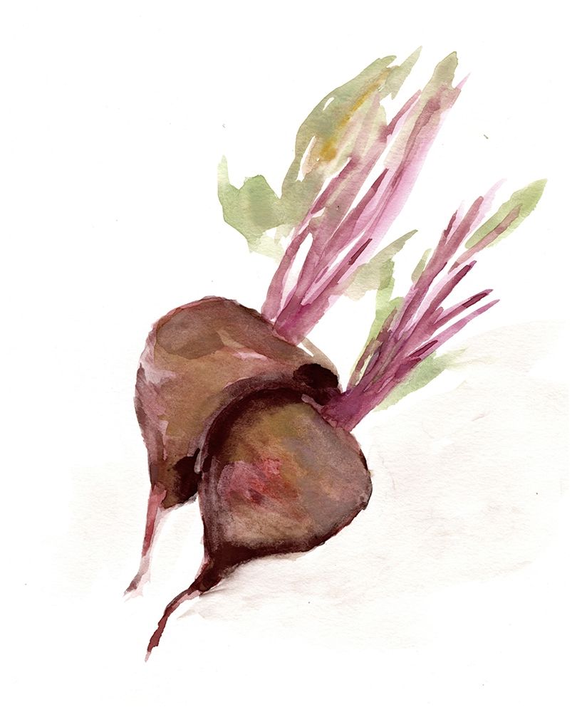 Veggie Sketch plain  IV-Brown Beets