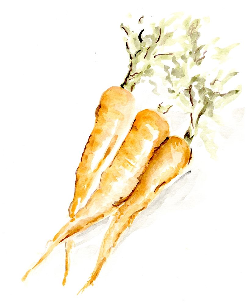 Veggie Sketch plain  V-Carrots