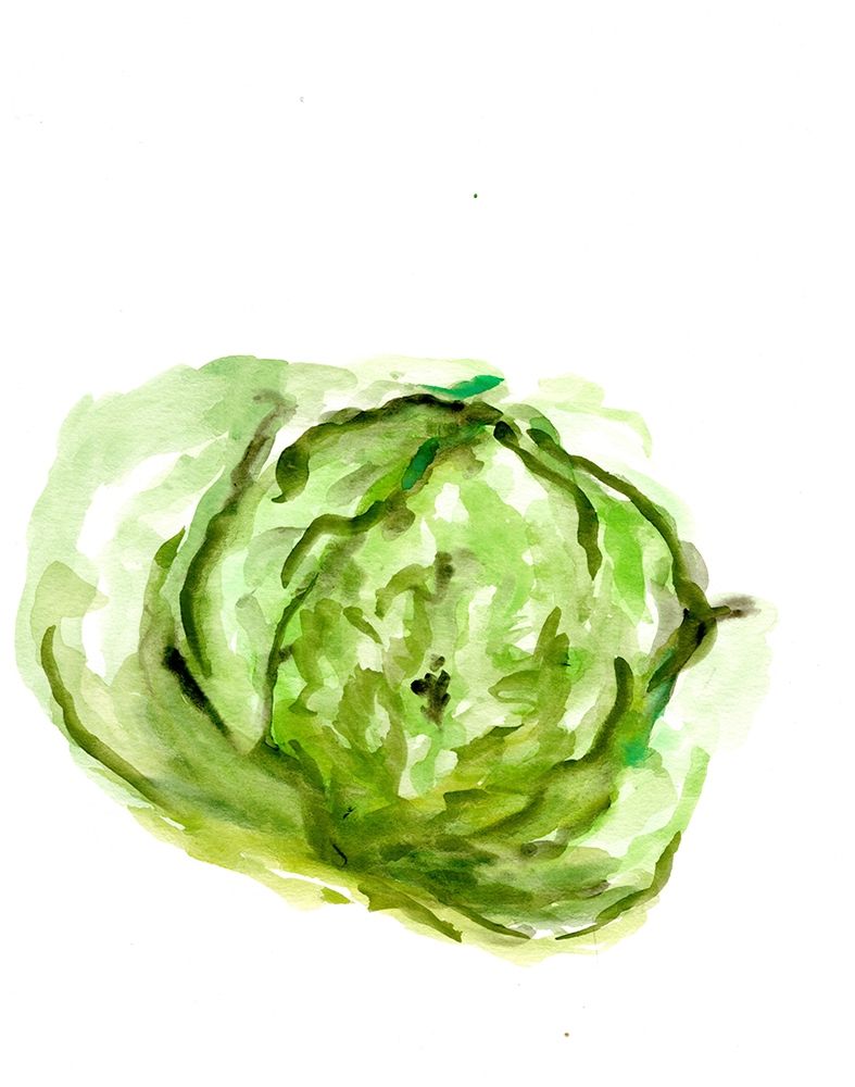 Veggie Sketch plain  IX-Lettuce