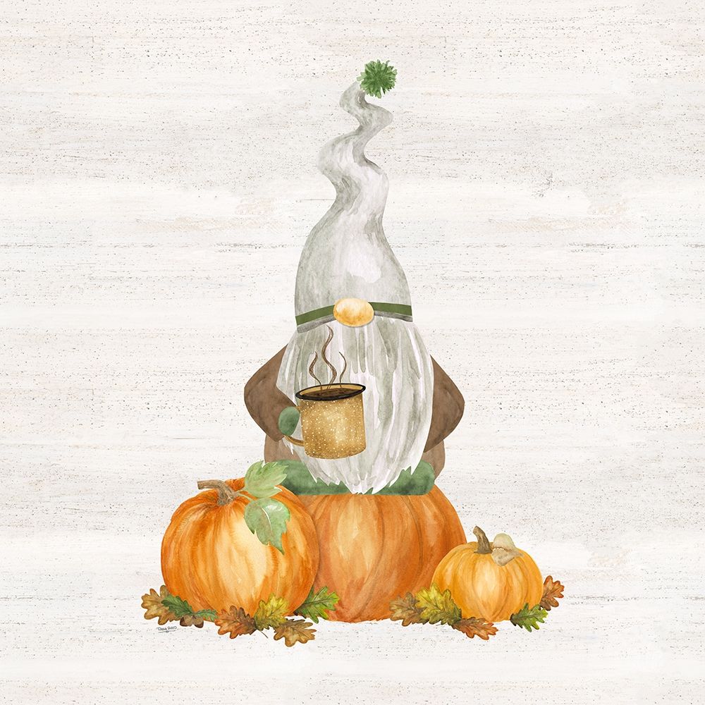 Fall Gnomes V