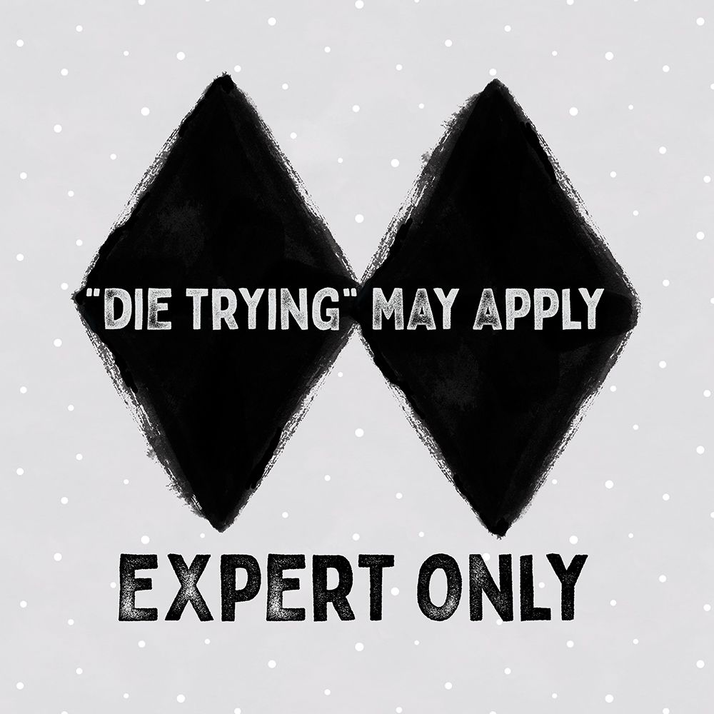 Winter Mountain Getaway VIII-Expert Only
