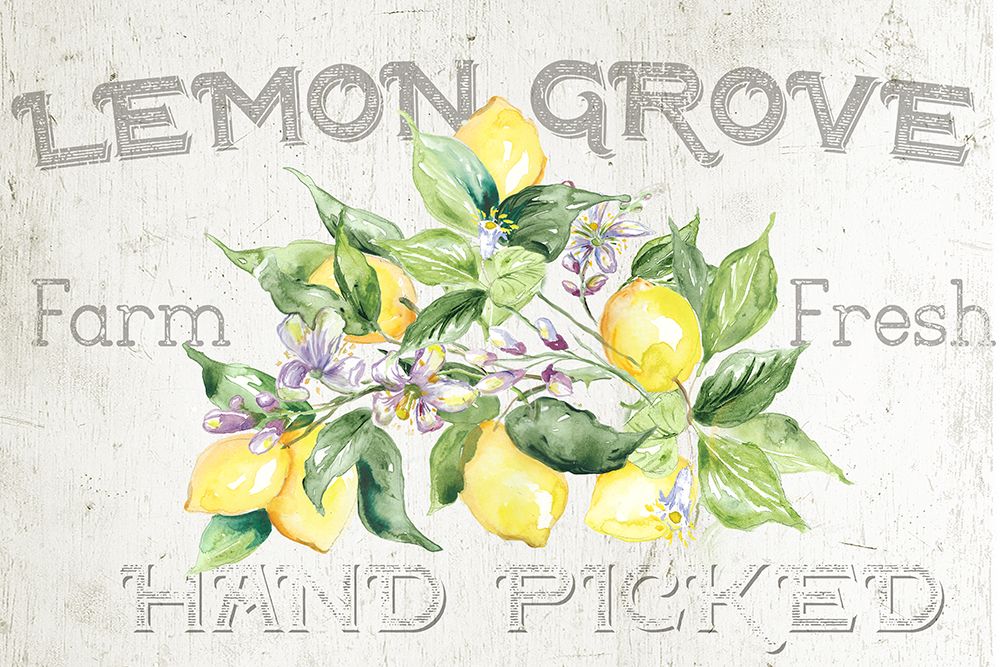 Lemon  Grove I