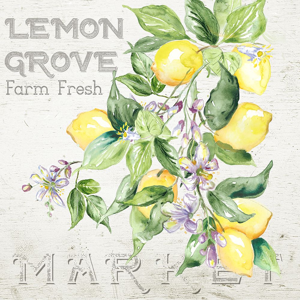 Lemon  Grove II