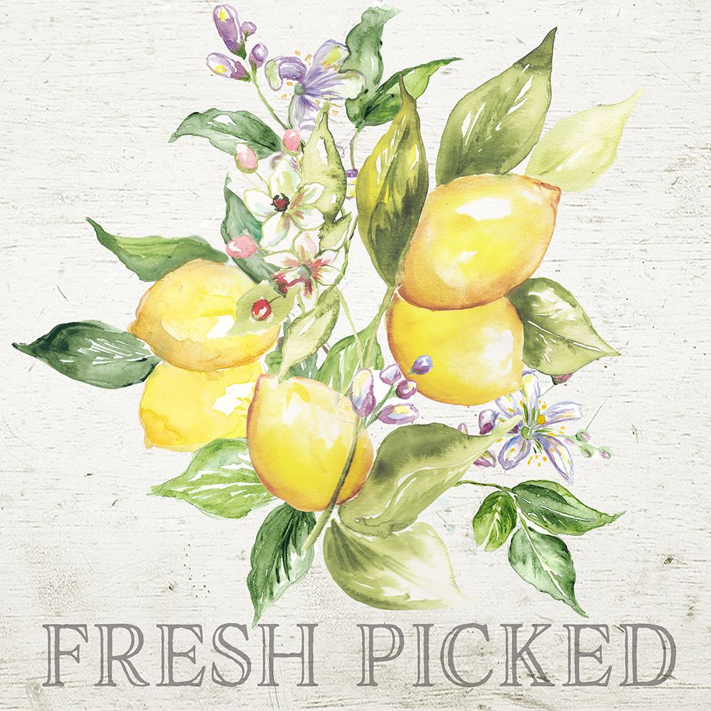 Lemon  Grove III