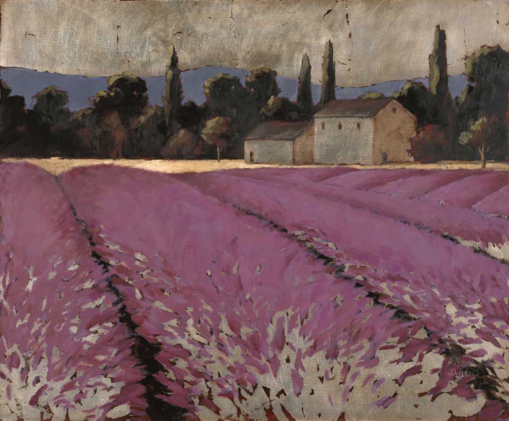 Lavender Fields 2