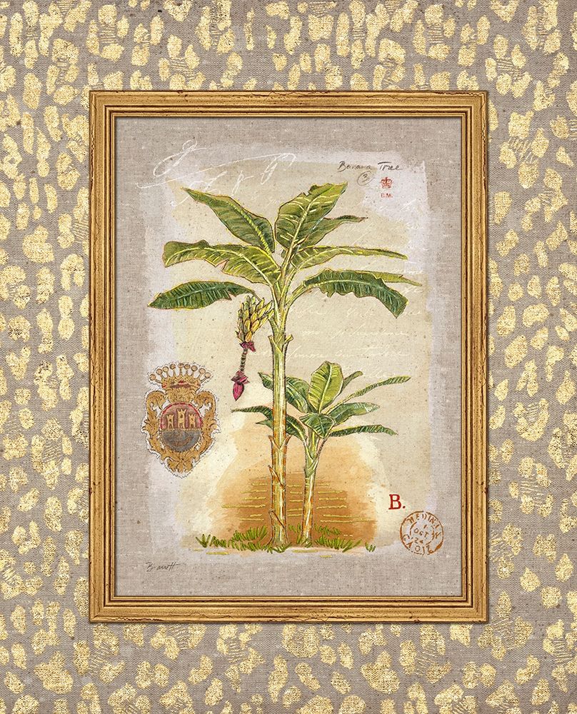 Leopard Banana Palm