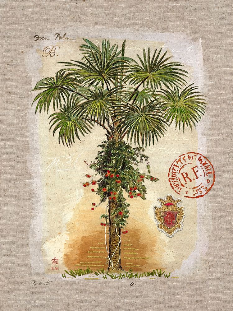 Linen Fan Palm Tree