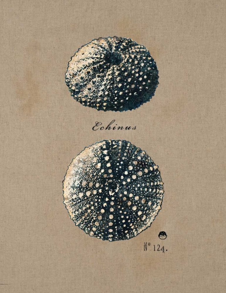Vintage Linen Sea Urchin