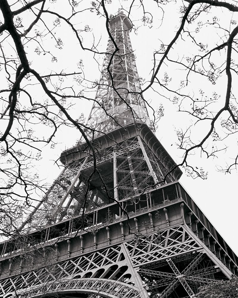 Spring - La Tour Eiffel