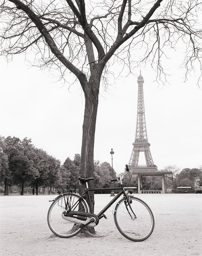 Ride To The Tower