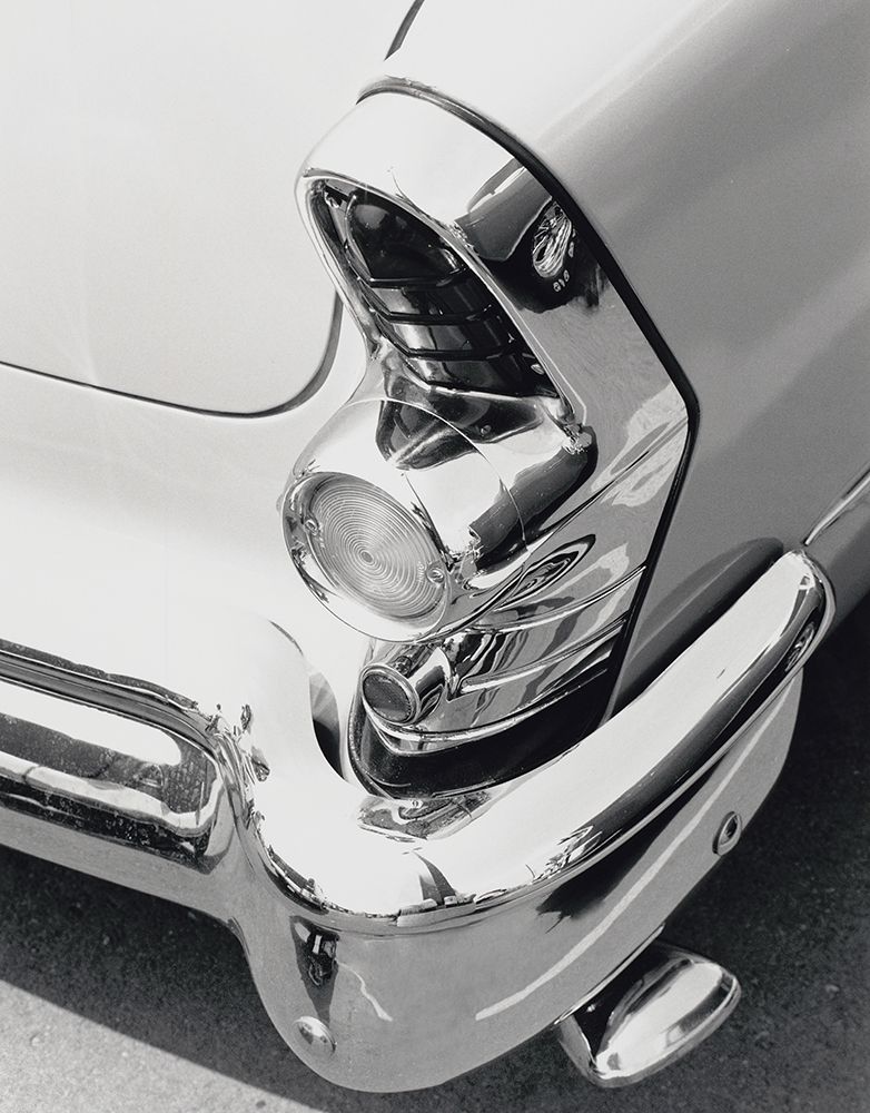 Tail Fin