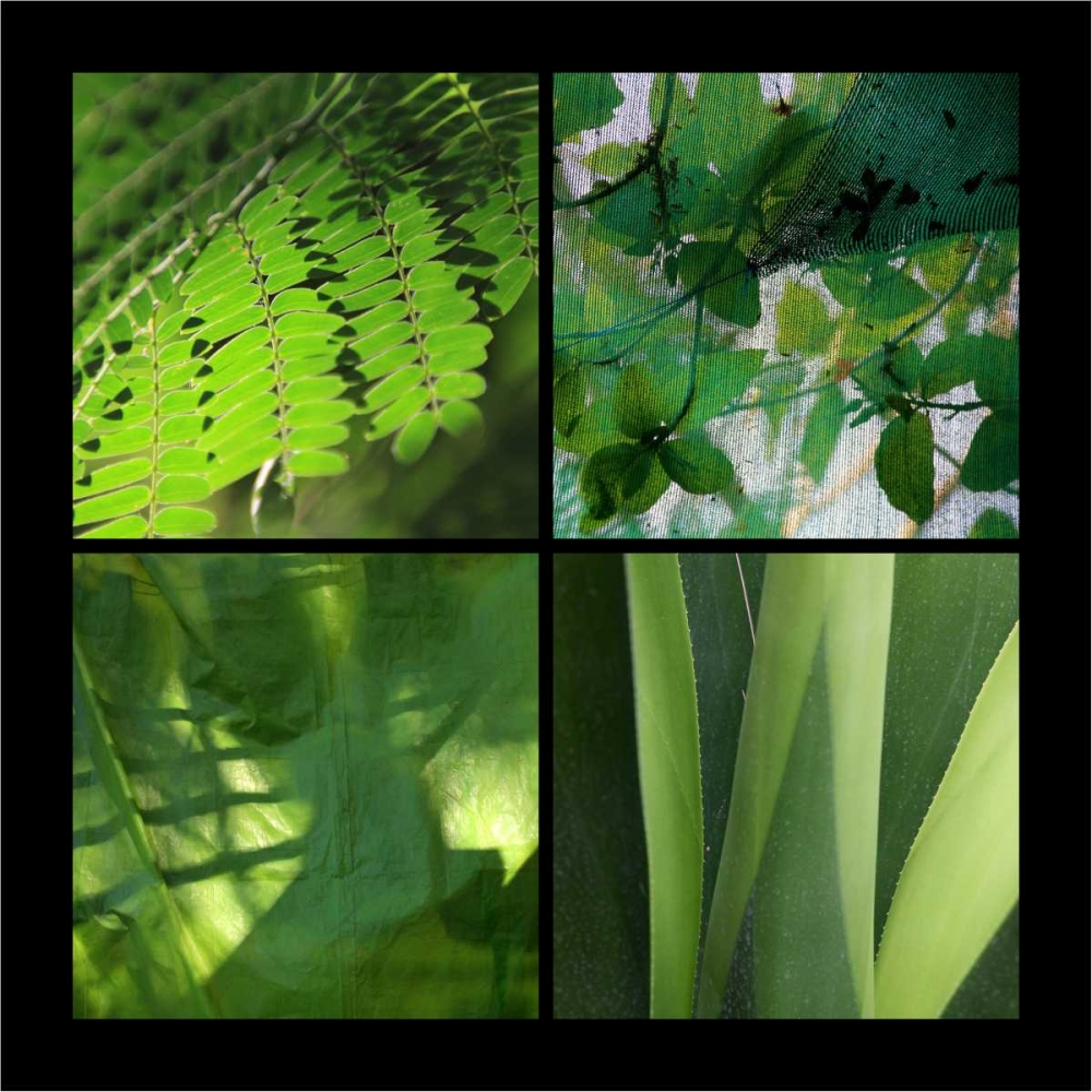 Fresh Green