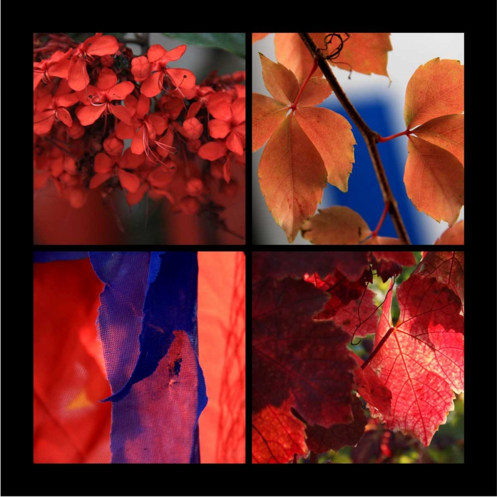 Red Autumn